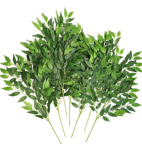 Cewor 16pcs Tallos Italianos De Ruscus Greenery, 27.6in Arti 0