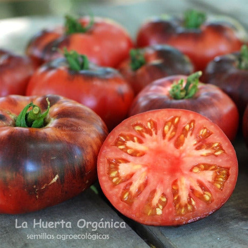 LA HUERTA ORGÁNICA Semillas Tomate Blue Beauty! Belleza Azul. Exóticos! 7