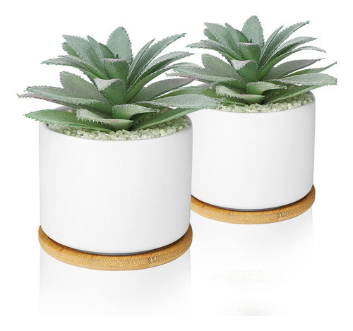 Hopewood Artificial Succulent Plant - Agave 0