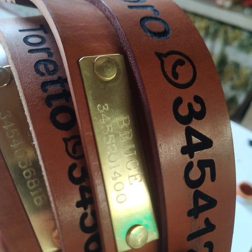 Leather Collars with Bronze Identification 8