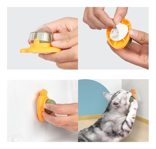 Interactive Cat Toy with Rotating Catnip for Wall 30