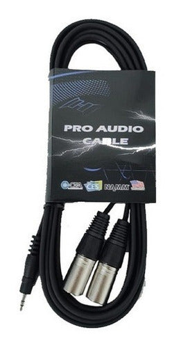 Pro Audio Professional Mini Plug to 2 Canon XLR Male Cable 3.6 Meters 1