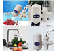 SWS Water Purifier Ceramic Filter with Carbon for Faucet 1