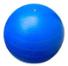 Fitness Gym Ball 55 cm 1000g 0