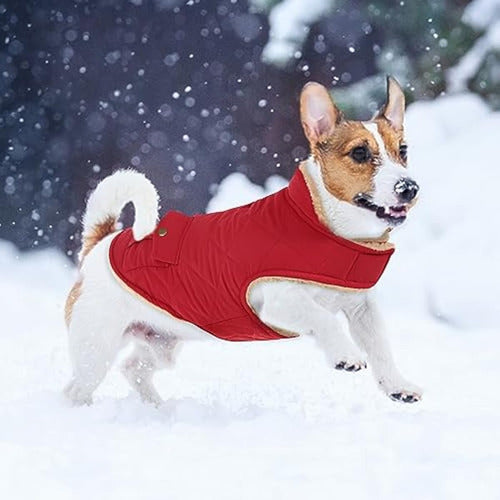 Asenku Warm Winter Coat for Dogs, Lining 5