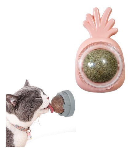 Interactive Cat Toy with Rotating Catnip for Wall 0