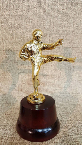 Trofeo Plástico Karate Taekwondo Artes Marciales Base Madera 1