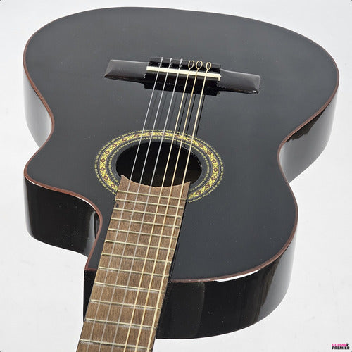 GP Electroacoustic Guitar Cutaway Superior Studio Model 6