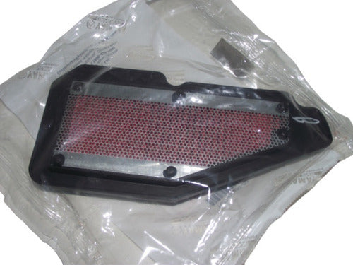 Original Yamaha Ray-115 Air Filter 0