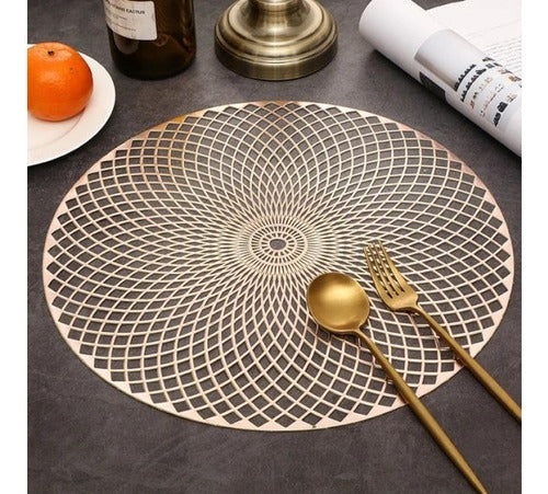 LauKa Elegant Round PVC Table Placemat Set of 2 3