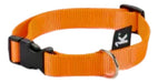 Brakko Premium Fast Lock Medium Dog Collar 1