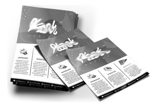 FSY Black Ink Flyers Brochures 10x15 X1000 0