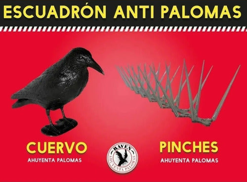 Pinches De Seguridad Púas Espina Protección Palomas 50 Cm 3