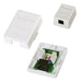 RJ45 Wall Mounted Socket with Built-In Cat5 Jack UTP Network 0