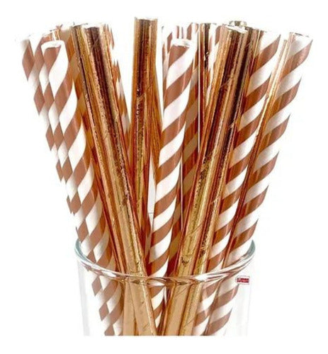 Party Store Rose Gold Paper Straws x24 0