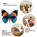 Outus Multicolor Butterfly Window Clings - 40 Pieces for Decoration 4