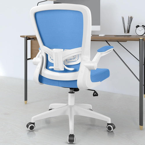 FelixKing Office Chair, Ergonomic Desk Chair C 0