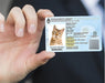 Editable Pet ID Template - Dog Document - Mod 1 1