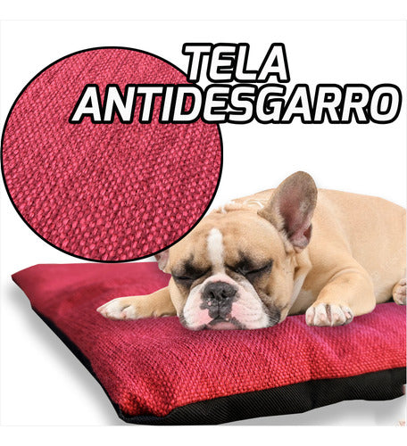 Airway Cama Cucha Colchoneta Antidesgarro Mascota Grande 3