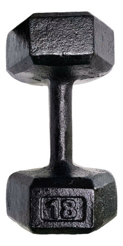 Full Fitness Solutions 18 Kg Cast Iron Dumbbell with Excellent Finish 0