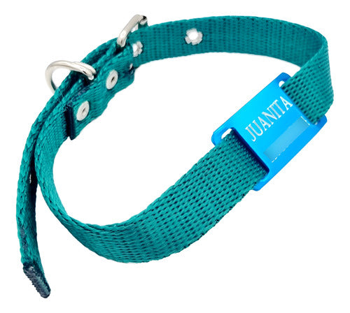 MEDALLAS PARA PERROS Turquoise Dog Tag with Dark Green Collar 0