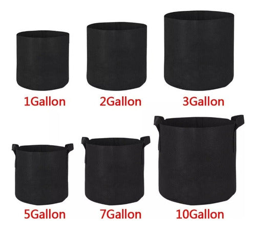 Polietileno Obelisco Grow Pot Fabric Planters Pack of 5 - 3 Gallons (11 Liters) 2