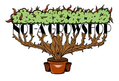 Cocomix Substrate with Coconut Fiber + Peat + Perlite 70 L 2