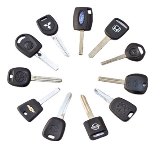 FerreScanner Fiat Uno Tipo Fiorino Siena Palio Key Copy 0