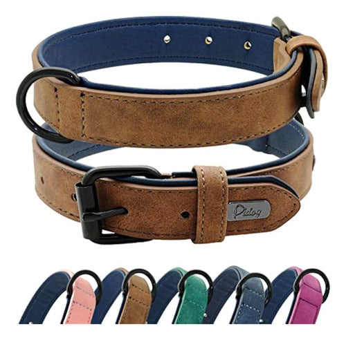 Didog Soft Padded Leather Dog Collar 0