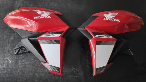 Decals for Honda CB 250 New Twister Deflectors Only 1