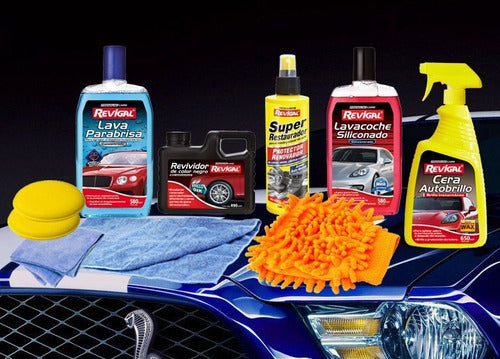 Revigal Car Wash and Care Kit - 9 Items, Microfiber 0