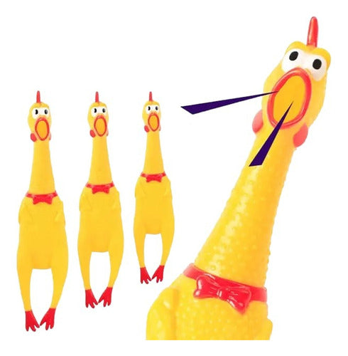 Kingdom Pet Shop Chicken Toy for Dogs with Squeaker Sound 0