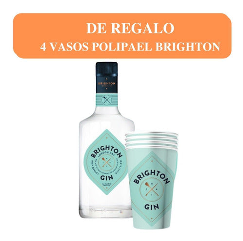 Gin Brighton London Dry De Pernord Ricard. Quirino Bebidas 0