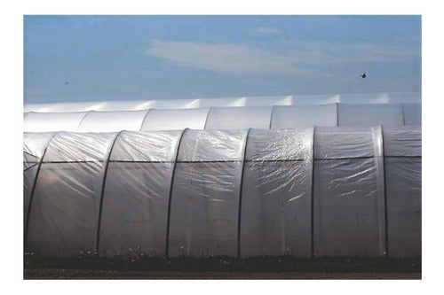 Brasil Nylon Greenhouse Thick 150 Mic - Thermal - 10 X 2.20 Mts 2