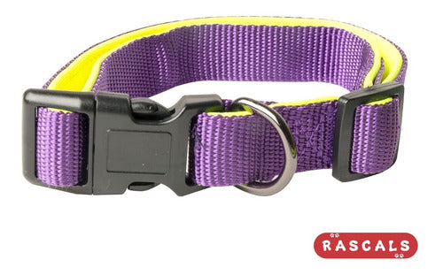 Juego Correa Collar Perros Rascals Antitranspirante Mediano 4