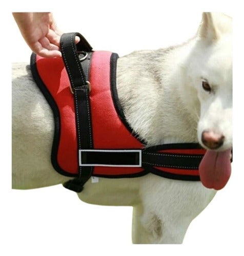 Senior Pet Dog Adjustable Harness M for Dogs / Mifielmascota 1