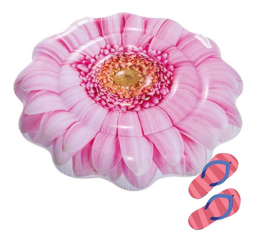 Colchoneta Inflable Pileta Intex Margarita Rosa 142cm 1