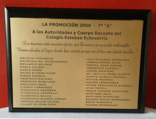 Placa: Premio/reconocimiento/profesion Similmetal 35x25cm 4