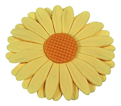 PME Sd617 Girasol Veteado Gerbera Y Daisy Plunger Cutter Sta 4