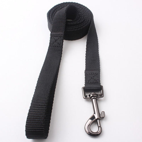 Nylon Collar and Leash Set for Dogs and Cats Various Sizes 3
