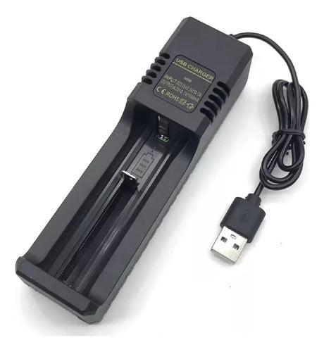 10 Cargadores Usb Pilas Batería Recargable 18650 14500 16340 0