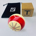 Terizger Practice Training Ball Device 4