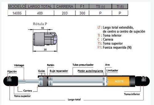 Amortiguador De Puerta Trasera Byd F0 1