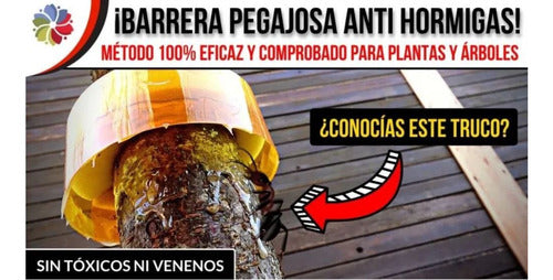 Barrera Anti Hormigas X 10 Unid. Protección Arboles Y Tallos 1