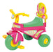 Biemme Tricycle Roller / Lady 0