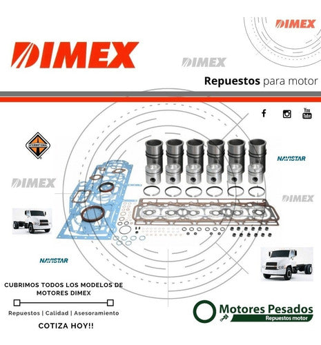 Mahle Pistons for Dimex | All Models 1