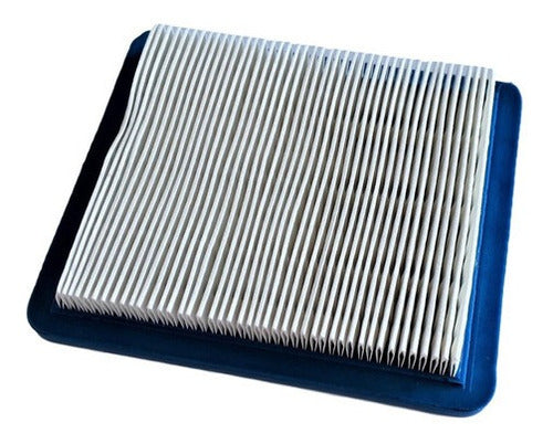 Raisman Air Filter for Briggs & Stratton Honda 3.5 5 Hp Gx100 1