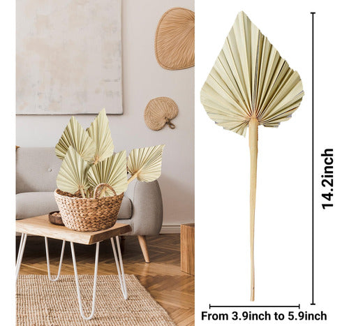 Sggvecsy Dried Palm Leaves Boho 10 Pieces 14.2 Øø Stems 1