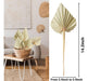 Sggvecsy Dried Palm Leaves Boho 10 Pieces 14.2 Øø Stems 1