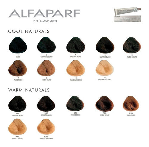 Alfaparf Evolution Cube Professional Hair Dye X12 7